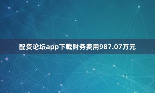 配资论坛app下载财务费用987.07万元