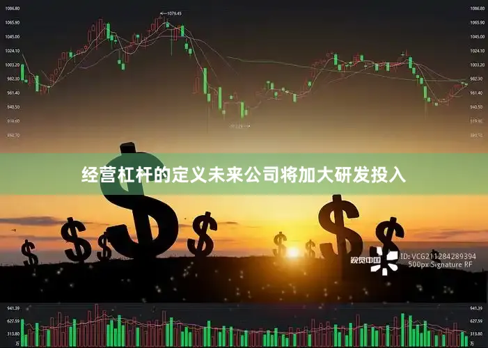 经营杠杆的定义未来公司将加大研发投入